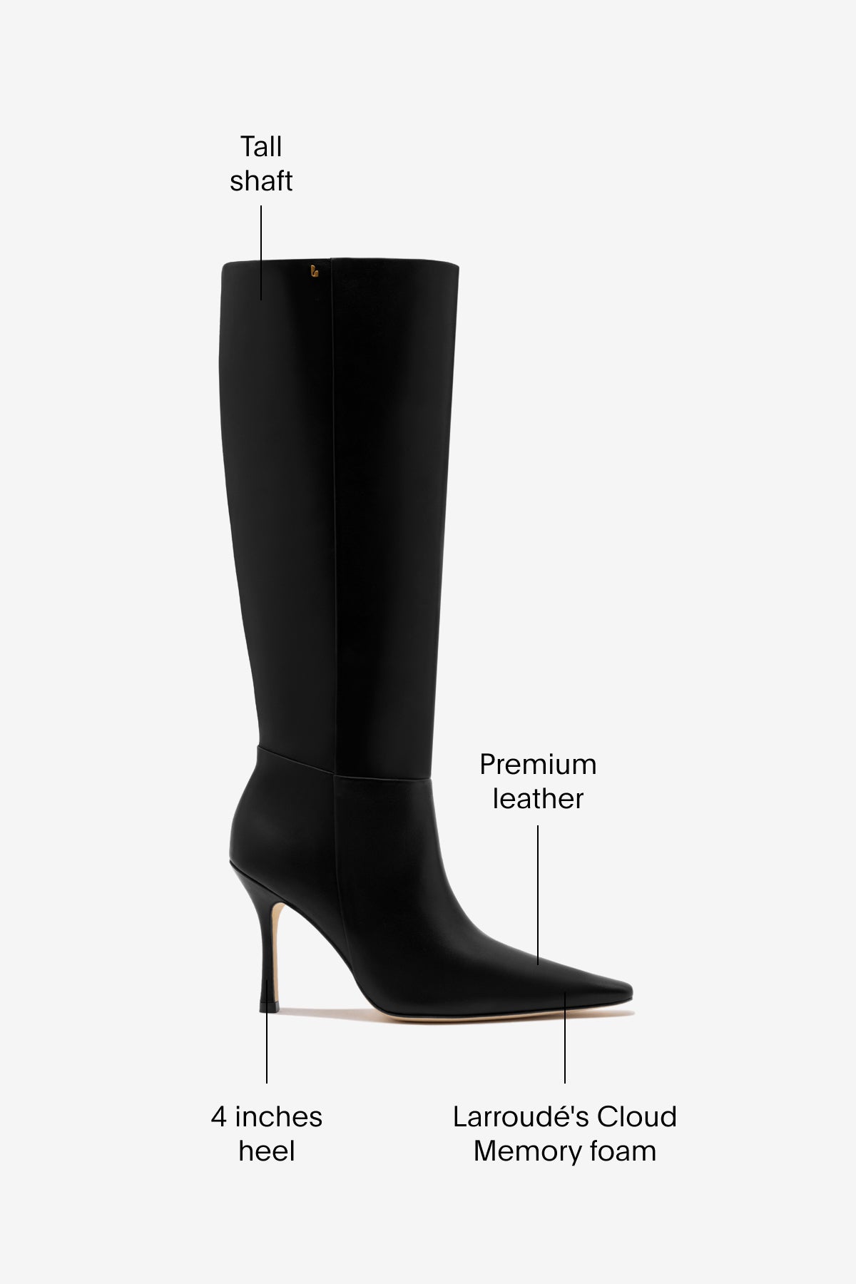 Carine Boot In Black Leather