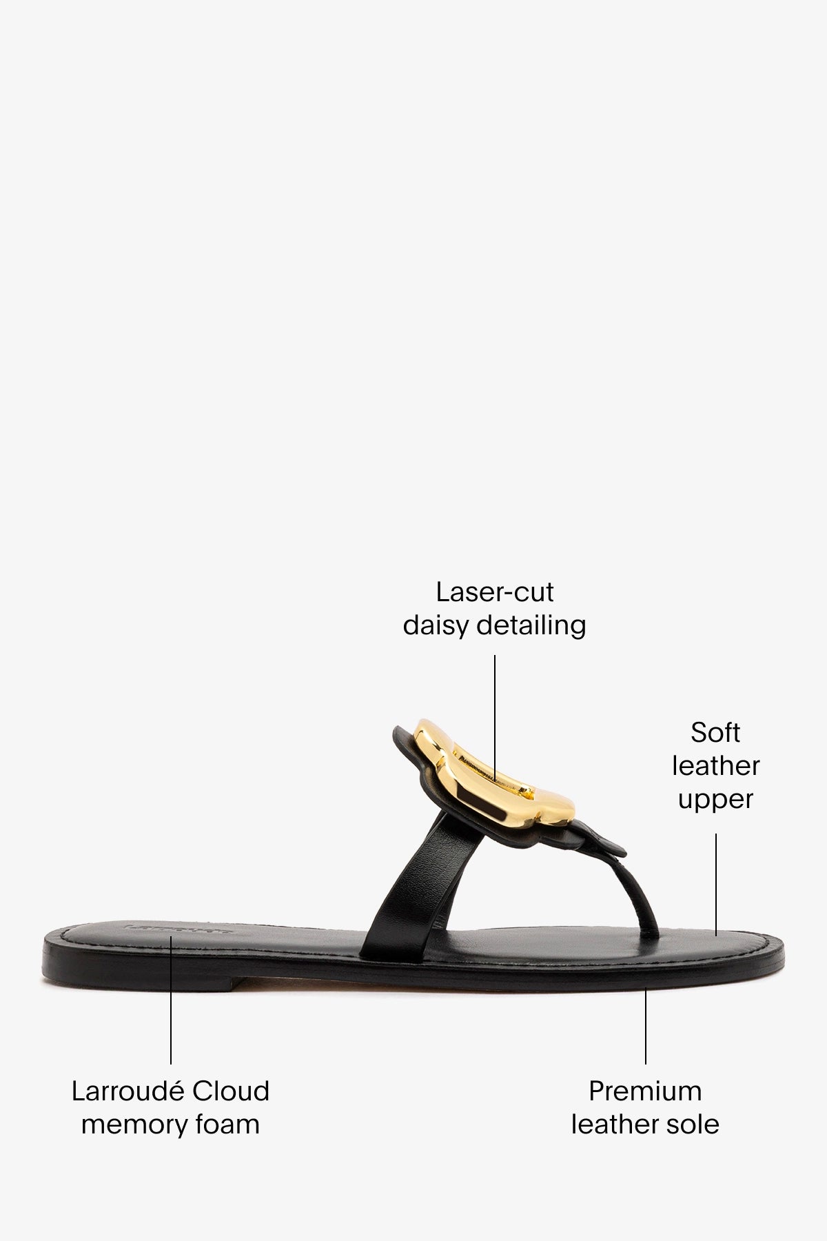 Margherita Thong Sandal in Black Leather and Gold Hardware