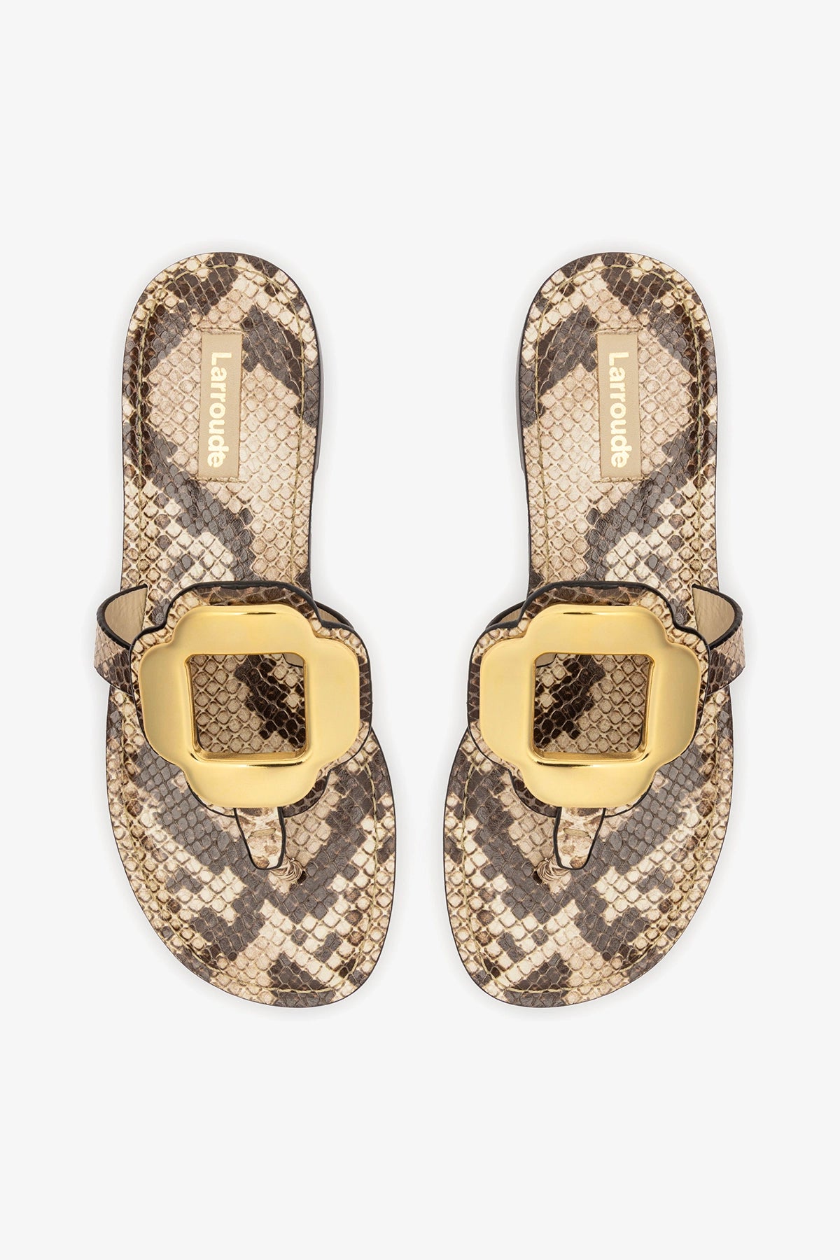 Margherita Thong Sandal in Neutral Snake Leather and Gold Hardware