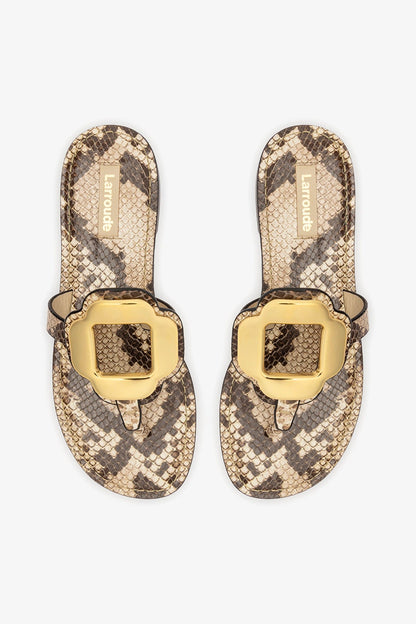 Margherita Thong Sandal in Neutral Snake Leather and Gold Hardware
