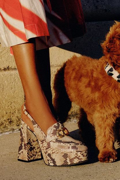 Harrington Loafer Hi In Neutral Snake Stamped Leather